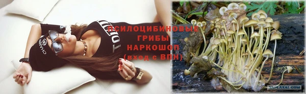 ПСИЛОЦИБИНОВЫЕ ГРИБЫ Алексеевка