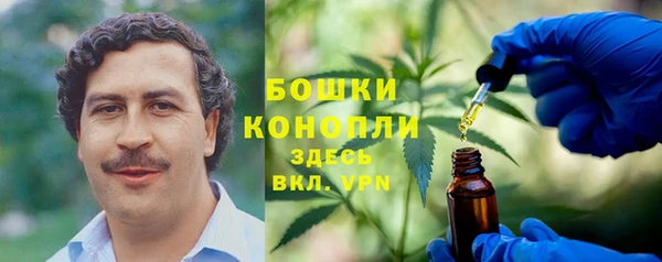 ПСИЛОЦИБИНОВЫЕ ГРИБЫ Новодвинск