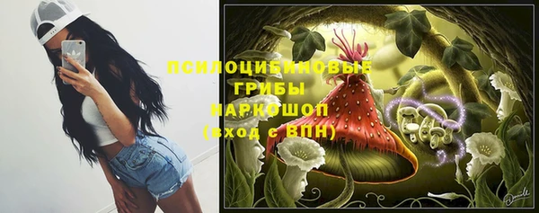 ПСИЛОЦИБИНОВЫЕ ГРИБЫ Алексеевка
